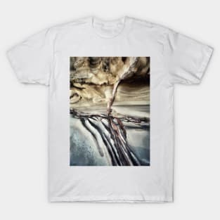 Sandstone T-Shirt